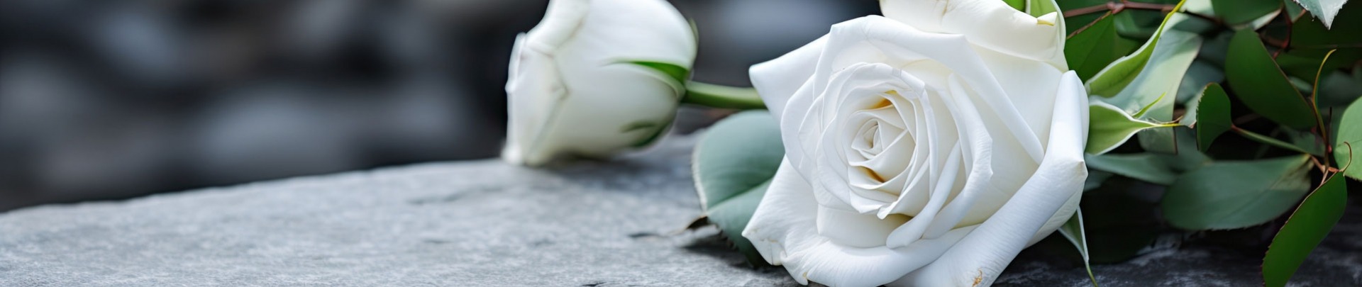 Een begrafenisceremonie buiten met een witte roos op een grijze granieten grafsteen